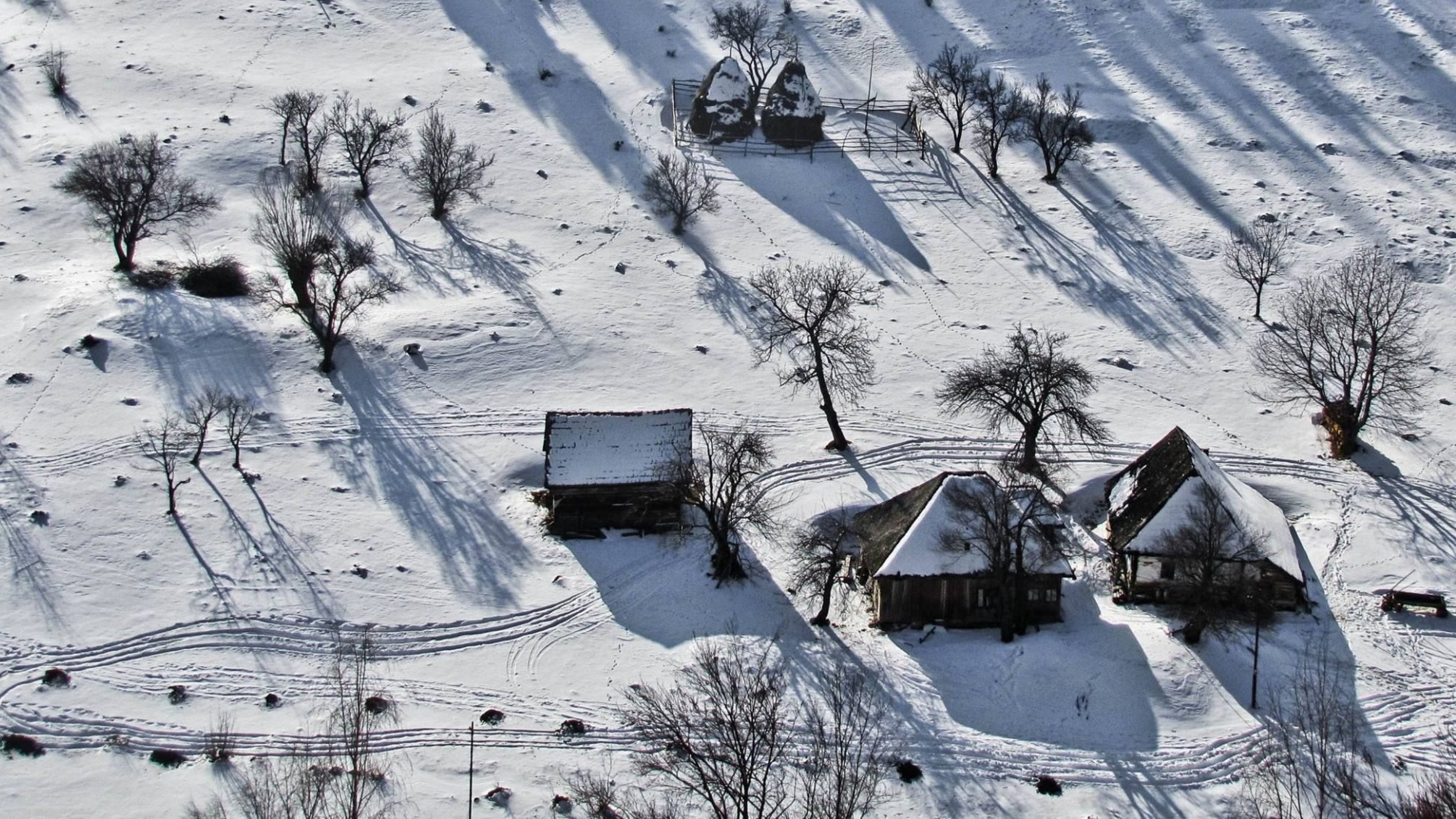 Colecția de Iarnă